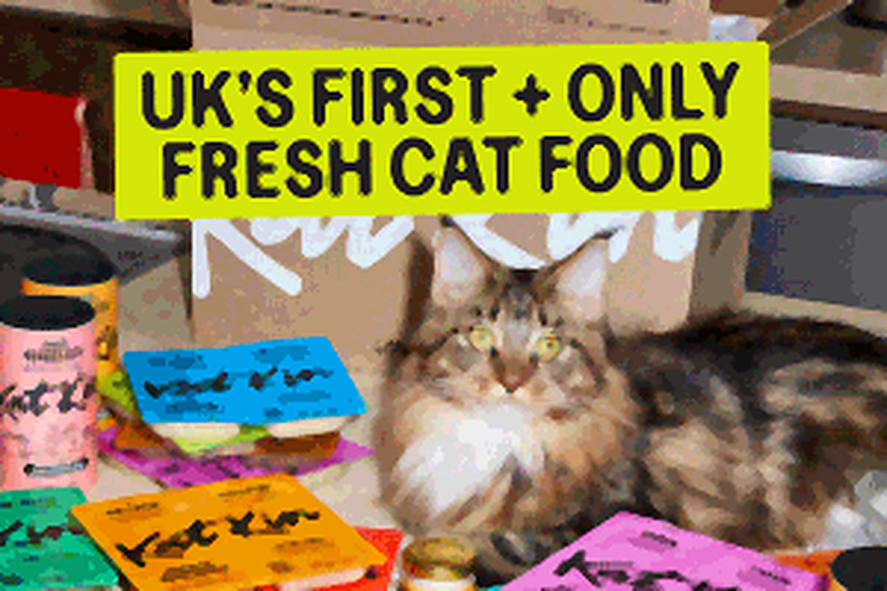 KatKin pets