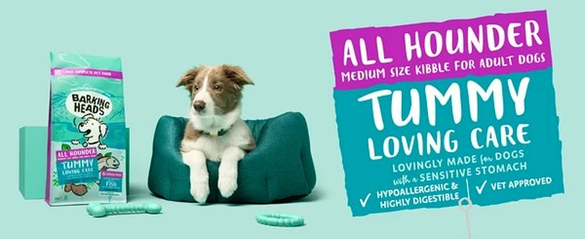 Barking Heads & Meowing Heads — Up to 30% Off